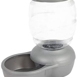 Petmate Replendish Feeder with Microban Automatic Cat and Dog Feeder 4 Sizes Available, 5 LB, Pearl Silver Grey