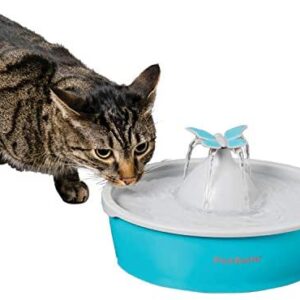 PetSafe Drinkwell Butterfly Pet Drinking Fountain for Cats and Dogs, Free-Falling Adjustable Streams of Fresh, Flowing Water, Easy to Clean, 50 oz Capacity